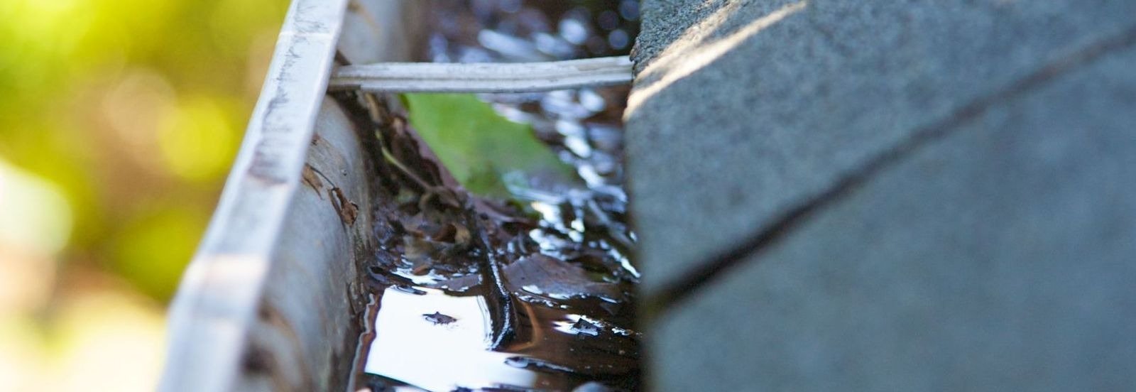 Rain Gutter Cleaning